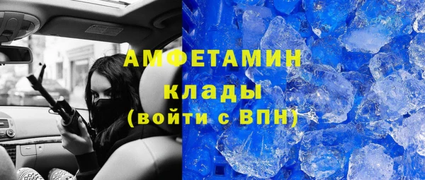 индика Алагир